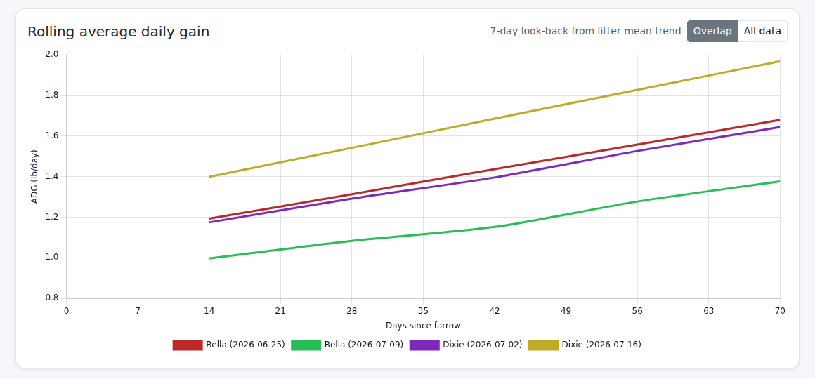 Line chart of rolling average daily gain for four litters