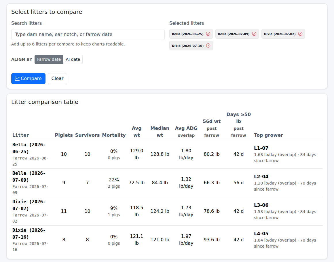 Litter comparison table for four litters showing mortality, weights, and average daily gain